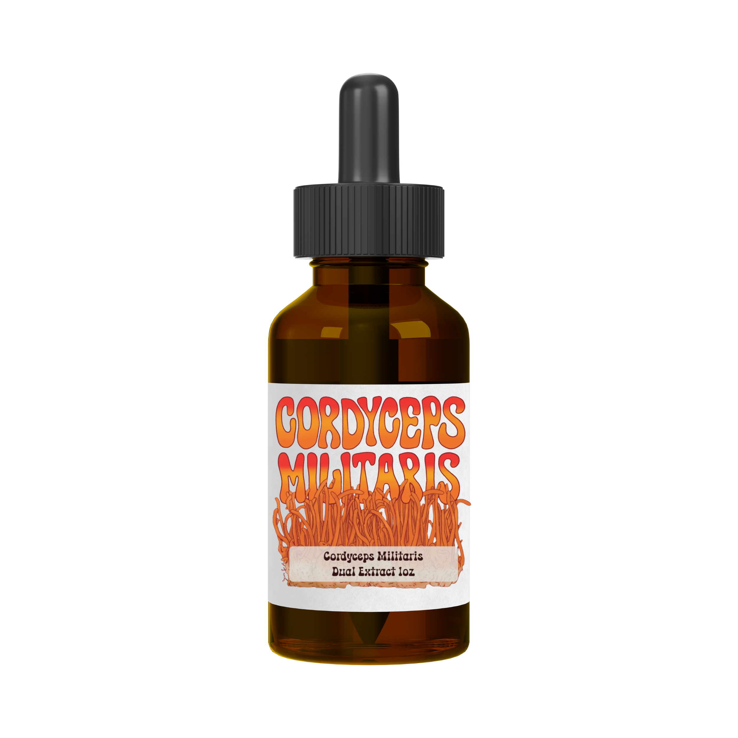 Cordyceps Militaris 1oz Tincture