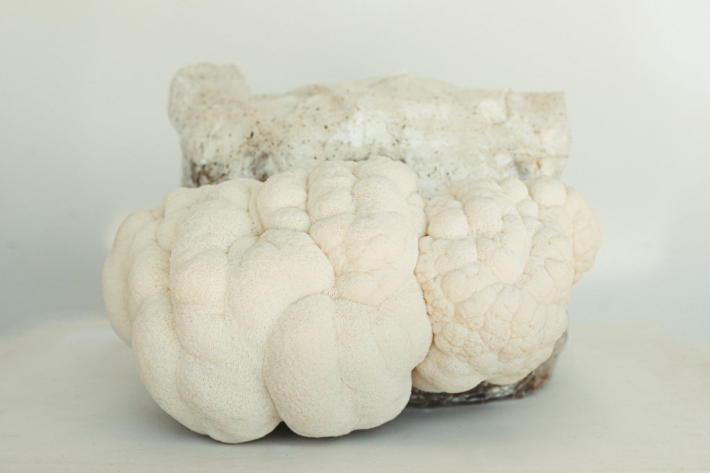 Grow Kit Pre Order**